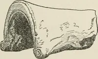 An illustration from Catalogue of Arretine pottery (1916)