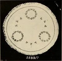 An illustration from Catalogue of ... art needlework of quality. (1914)