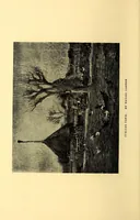 Picture 5 of 8 from Catalogue of Bethlehem art exhibition at the Moravian seminary, Feb. 24 to March 7, 1908 (1908), leaf 16