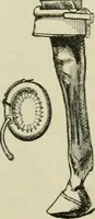 An illustration from Catalogue of the British Section : containing a list of the exhibitors of the United Kingdom and its colonies, and the objects which they exhibit : in English, French, German, and Italian : with statistical introductions and an appendix in which many of the objects exhibited are more fully described (1867)