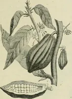 An illustration from Catalogue of the British Section : containing a list of the exhibitors of the United Kingdom and its colonies, and the objects which they exhibit : in English, French, German, and Italian : with statistical introductions and an appendix in which many of the objects exhibited are more fully described (1867)