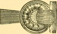 An illustration from Catalogue of the bronzes, Greek, Roman, and Etruscan, in the Department of Greek and Roman Antiquities, British Museum (1899)