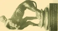 Picture 78 of 130 from Catalogue of the bronzes, Greek, Roman, and Etruscan, in the Department of Greek and Roman Antiquities, British Museum (1899), leaf 492