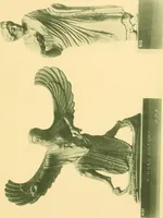 Picture 81 of 130 from Catalogue of the bronzes, Greek, Roman, and Etruscan, in the Department of Greek and Roman Antiquities, British Museum (1899), leaf 494