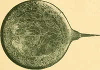 Picture 89 of 130 from Catalogue of the bronzes, Greek, Roman, and Etruscan, in the Department of Greek and Roman Antiquities, British Museum (1899), leaf 504