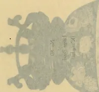 Picture 104 of 110 from A catalogue of Chinese porcelains collected by Mr. and Mrs. Charles P. Taft, Cincinnati, Ohio, with notes and illustrations, comp. and described by John Getz (1904), leaf 274