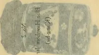Picture 8 of 110 from A catalogue of Chinese porcelains collected by Mr. and Mrs. Charles P. Taft, Cincinnati, Ohio, with notes and illustrations, comp. and described by John Getz (1904), leaf 50