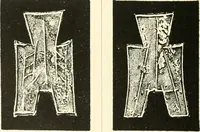 Picture 46 of 159 from Catalogue of Chinese coins from the VIIth cent. B. C., to A. D. 621. including the series in the Britis Museum (1892), leaf 191