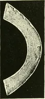 An illustration from Catalogue of Chinese coins from the VIIth cent. B. C., to A. D. 621. including the series in the Britis Museum (1892)