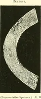 Picture 4 of 159 from Catalogue of Chinese coins from the VIIth cent. B. C., to A. D. 621. including the series in the Britis Museum (1892), leaf 82
