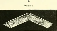 Picture 5 of 159 from Catalogue of Chinese coins from the VIIth cent. B. C., to A. D. 621. including the series in the Britis Museum (1892), leaf 82