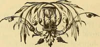 An illustration from Catalogue of coins, medals and tokens, fractional currency, books, coin sale catalogues, etc. Being the entire American collection of Wm. J. Jenks ... To be sold by auction, by Messrs. Bangs & co. ... September 1, 2, 3, 1880 ... (1880)