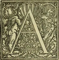 An illustration from Catalogue of a collection of engravings, etchings, and woodcuts (1879)