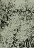 An illustration from Catalogue of drawings by Dutch and Flemish artists preserved in the Department of Prints and Drawings in the British Museum (1915)