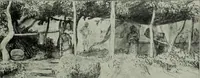 An illustration from Catalogue of drawings by Dutch and Flemish artists preserved in the Department of Prints and Drawings in the British Museum (1915)