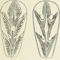 An illustration from Catalogue of early Christian antiquities and objects from the Christian East in the Department of British and mediaeval antiquities and ethnography of the British museum; (1901)