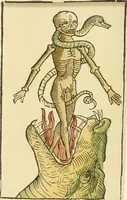 An illustration from Catalogue of early German and Flemish woodcuts preserved in the Department of Prints and Drawings in the British Museum (1903)