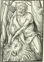 An illustration from Catalogue of early German and Flemish woodcuts preserved in the Department of Prints and Drawings in the British Museum (1903)