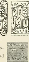 Picture 48 of 68 from Catalogue of Egyptian scarabs, etc., in the British museum (1913), leaf 310