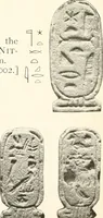 Picture 65 of 68 from Catalogue of Egyptian scarabs, etc., in the British museum (1913), leaf 337