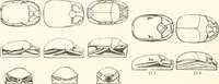An illustration from Catalogue of Egyptian scarabs, etc., in the British museum (1913)