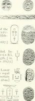 Picture 11 of 68 from Catalogue of Egyptian scarabs, etc., in the British museum (1913), leaf 68