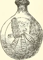 Picture 34 of 164 from A catalogue of the Egyptian antiquities in the possession of F.G. Hilton Price (1897), leaf 175