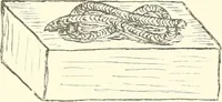Picture 64 of 164 from A catalogue of the Egyptian antiquities in the possession of F.G. Hilton Price (1897), leaf 262