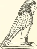 Picture 65 of 164 from A catalogue of the Egyptian antiquities in the possession of F.G. Hilton Price (1897), leaf 264