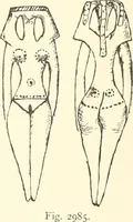 Picture 97 of 164 from A catalogue of the Egyptian antiquities in the possession of F.G. Hilton Price (1897), leaf 389