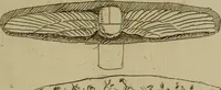 An illustration from A catalogue of the entire valuable museum of the late Matthew Duane, F.R. & A.S. ... containing the coins and medals : which, by order of the executors, will be sold by auction, by Mr. Gerard, at his house in Litchfield Street, St. Anne's, Soho, on Tuesday, the 3d of May, 1785, and the four following days .. (1785)
