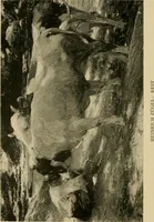 An illustration from Catalogue of an exhibition of contemporary German paintings (1907)
