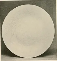 An illustration from Catalogue of an exhibition of early Chinese pottery and sculpture (1916)