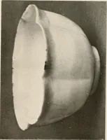 An illustration from Catalogue of an exhibition of early Chinese pottery and sculpture (1916)