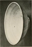 An illustration from Catalogue of an exhibition of early Chinese pottery and sculpture (1916)