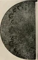 An illustration from Catalogue of an exhibition of early Chinese pottery and sculpture (1916)