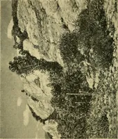 An illustration from Catalogue of the exhibition of paintings by Ten American painters, April 11 to May 3, 1908 (1908)