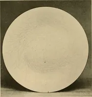 An illustration from Catalogue of an exhibition of early Chinese pottery and sculpture (1916)