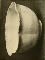 An illustration from Catalogue of an exhibition of early Chinese pottery and sculpture (1916)