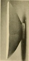 An illustration from Catalogue of an exhibition of early Chinese pottery and sculpture (1916)