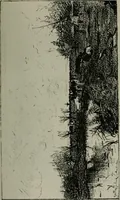 An illustration from Catalogue illustré officiel de la Section des beaux-arts de l'Exposition universelle d'Amsterdam, contenant environ 200 reproductions d'après les dessins originaux des artistes (1883)