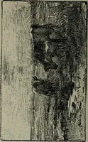 An illustration from Catalogue illustré officiel de la Section des beaux-arts de l'Exposition universelle d'Amsterdam, contenant environ 200 reproductions d'après les dessins originaux des artistes (1883)