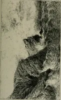 An illustration from Catalogue illustré officiel de la Section des beaux-arts de l'Exposition universelle d'Amsterdam, contenant environ 200 reproductions d'après les dessins originaux des artistes (1883)