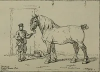 Picture 92 of 207 from Catalogue illustré officiel de la Section des beaux-arts de l'Exposition universelle d'Amsterdam, contenant environ 200 reproductions d'après les dessins originaux des artistes (1883), leaf 205