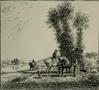 An illustration from Catalogue illustré officiel de la Section des beaux-arts de l'Exposition universelle d'Amsterdam, contenant environ 200 reproductions d'après les dessins originaux des artistes (1883)