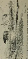 Picture 122 of 207 from Catalogue illustré officiel de la Section des beaux-arts de l'Exposition universelle d'Amsterdam, contenant environ 200 reproductions d'après les dessins originaux des artistes (1883), leaf 235