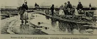 Picture 134 of 207 from Catalogue illustré officiel de la Section des beaux-arts de l'Exposition universelle d'Amsterdam, contenant environ 200 reproductions d'après les dessins originaux des artistes (1883), leaf 247