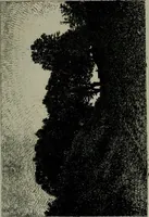 An illustration from Catalogue illustré officiel de la Section des beaux-arts de l'Exposition universelle d'Amsterdam, contenant environ 200 reproductions d'après les dessins originaux des artistes (1883)