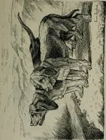 An illustration from Catalogue illustré officiel de la Section des beaux-arts de l'Exposition universelle d'Amsterdam, contenant environ 200 reproductions d'après les dessins originaux des artistes (1883)