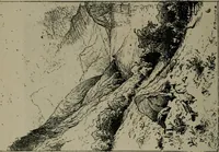 An illustration from Catalogue illustré officiel de la Section des beaux-arts de l'Exposition universelle d'Amsterdam, contenant environ 200 reproductions d'après les dessins originaux des artistes (1883)
